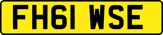 FH61WSE
