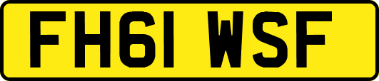 FH61WSF