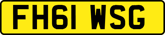 FH61WSG