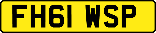 FH61WSP