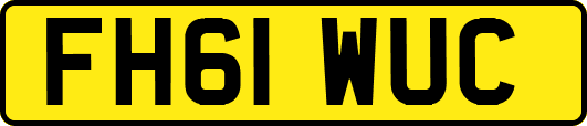 FH61WUC