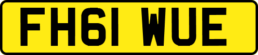 FH61WUE