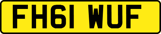 FH61WUF
