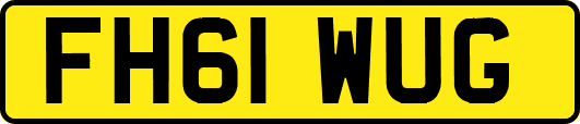 FH61WUG