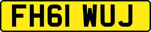FH61WUJ