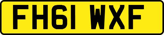 FH61WXF