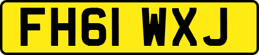 FH61WXJ