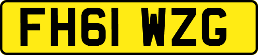 FH61WZG
