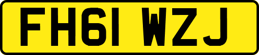 FH61WZJ
