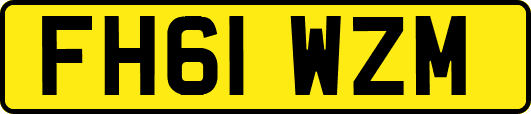 FH61WZM