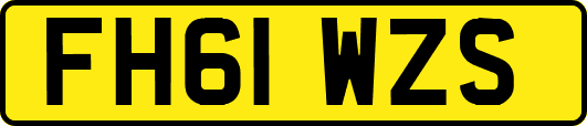 FH61WZS