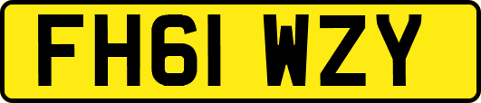 FH61WZY
