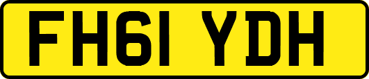FH61YDH