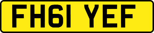 FH61YEF