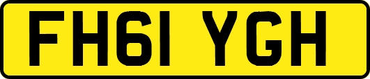 FH61YGH