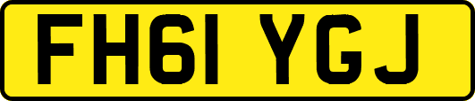 FH61YGJ