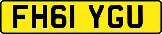 FH61YGU