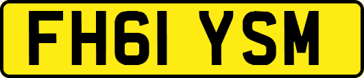 FH61YSM