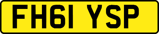 FH61YSP