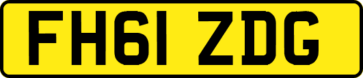 FH61ZDG