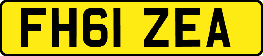 FH61ZEA