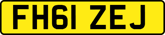 FH61ZEJ