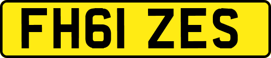 FH61ZES