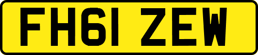 FH61ZEW