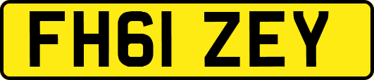 FH61ZEY