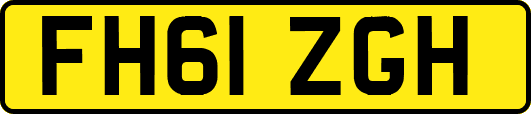 FH61ZGH