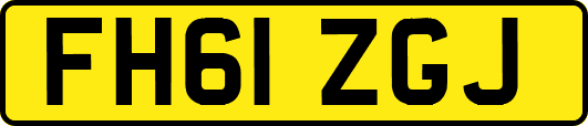 FH61ZGJ