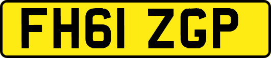 FH61ZGP