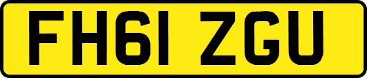 FH61ZGU
