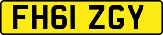 FH61ZGY