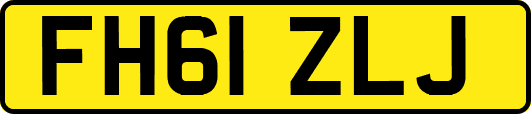 FH61ZLJ
