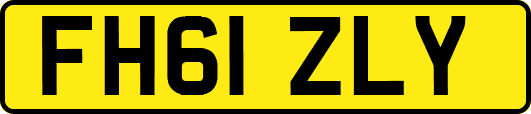 FH61ZLY