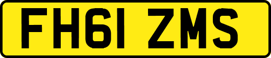 FH61ZMS