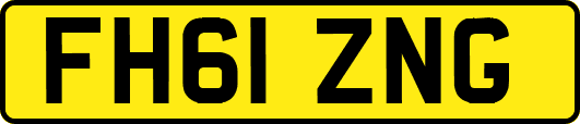 FH61ZNG