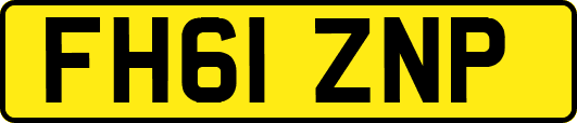 FH61ZNP