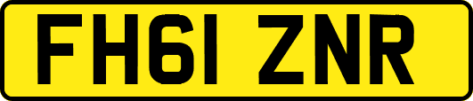 FH61ZNR