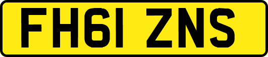 FH61ZNS