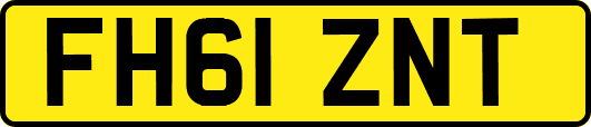 FH61ZNT
