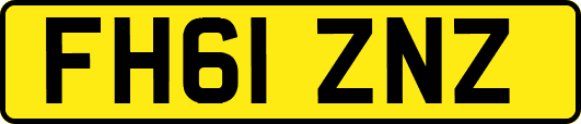 FH61ZNZ