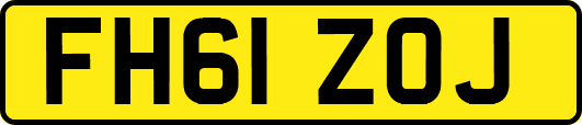 FH61ZOJ