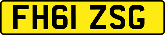 FH61ZSG