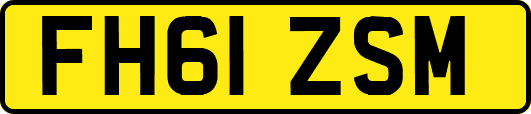FH61ZSM