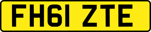 FH61ZTE