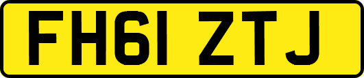 FH61ZTJ