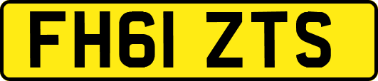 FH61ZTS