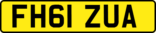 FH61ZUA